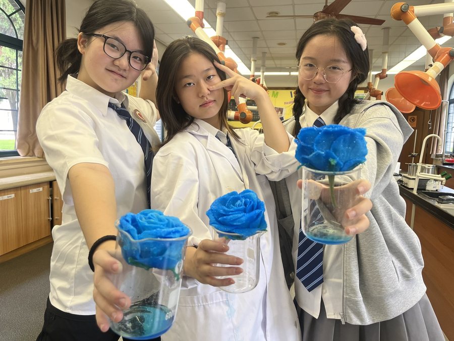 内驱 火花记录照片