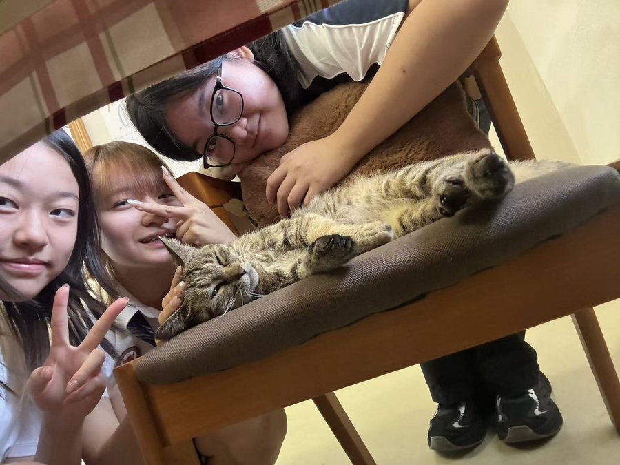 社会责任 火花记录照片